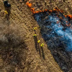 January 2020 (The Wilds)